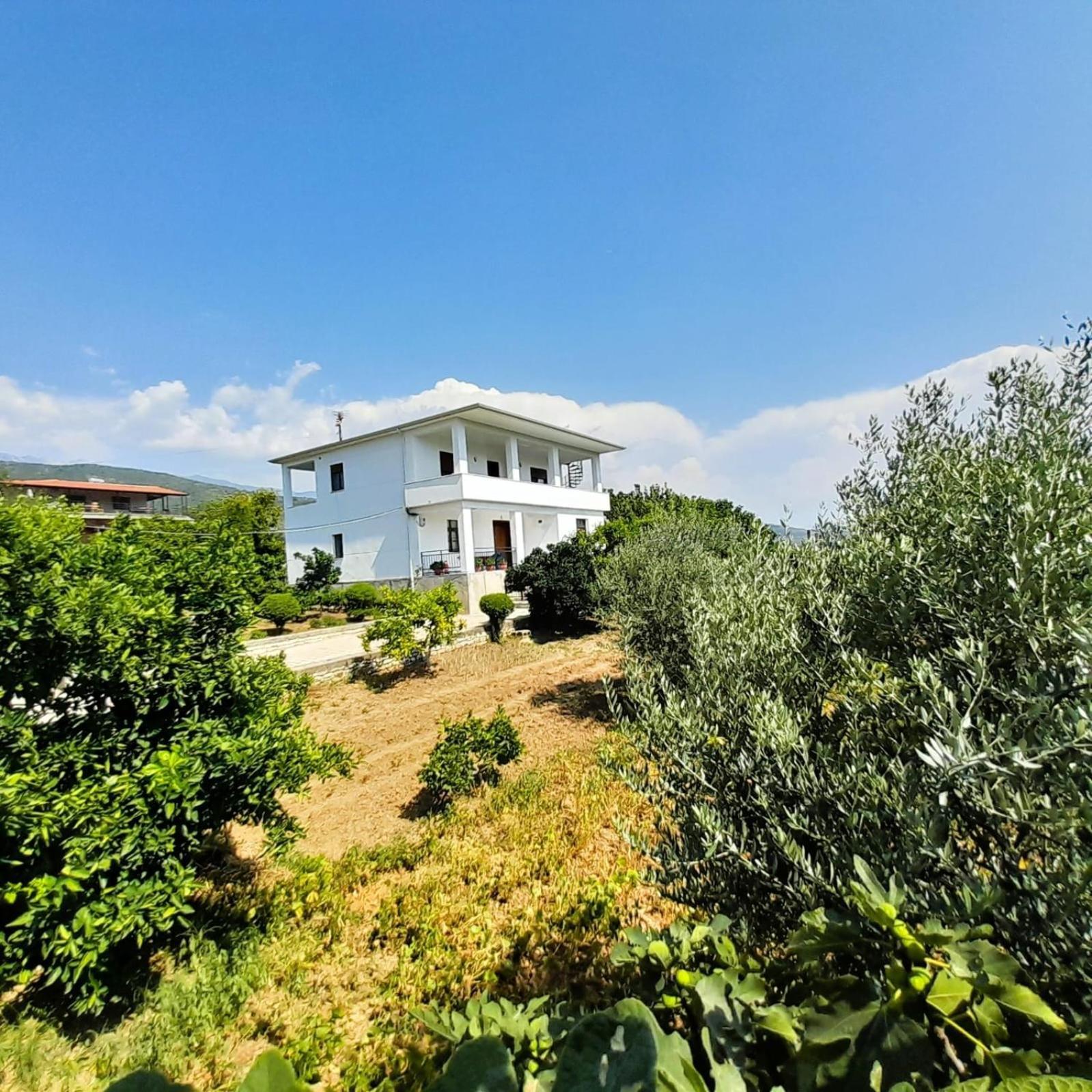 Villa Besart Berat Exterior photo